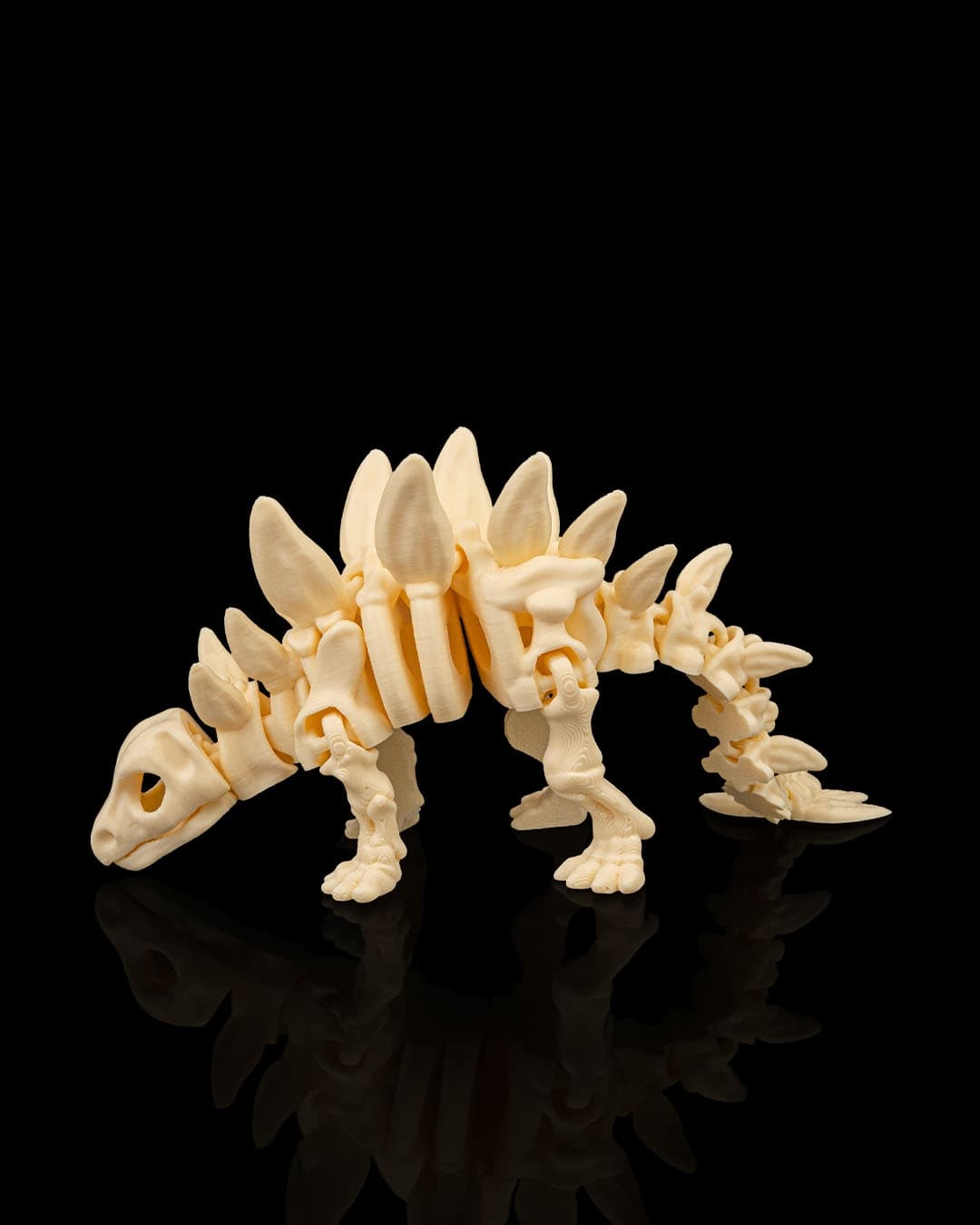 Esqueleto Estegossauro 12cm 🦕 - 2