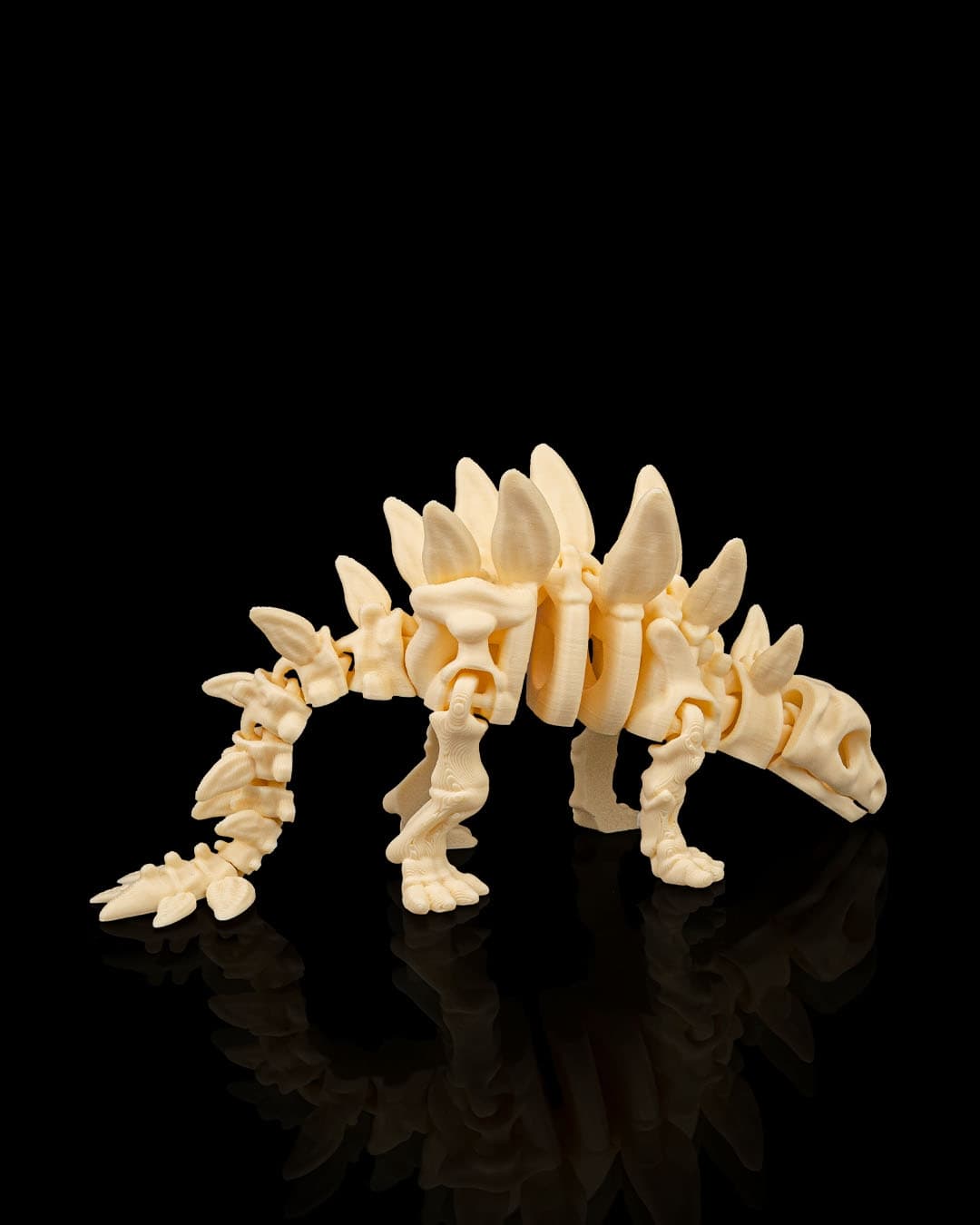Esqueleto Estegossauro 12cm 🦕 - 4