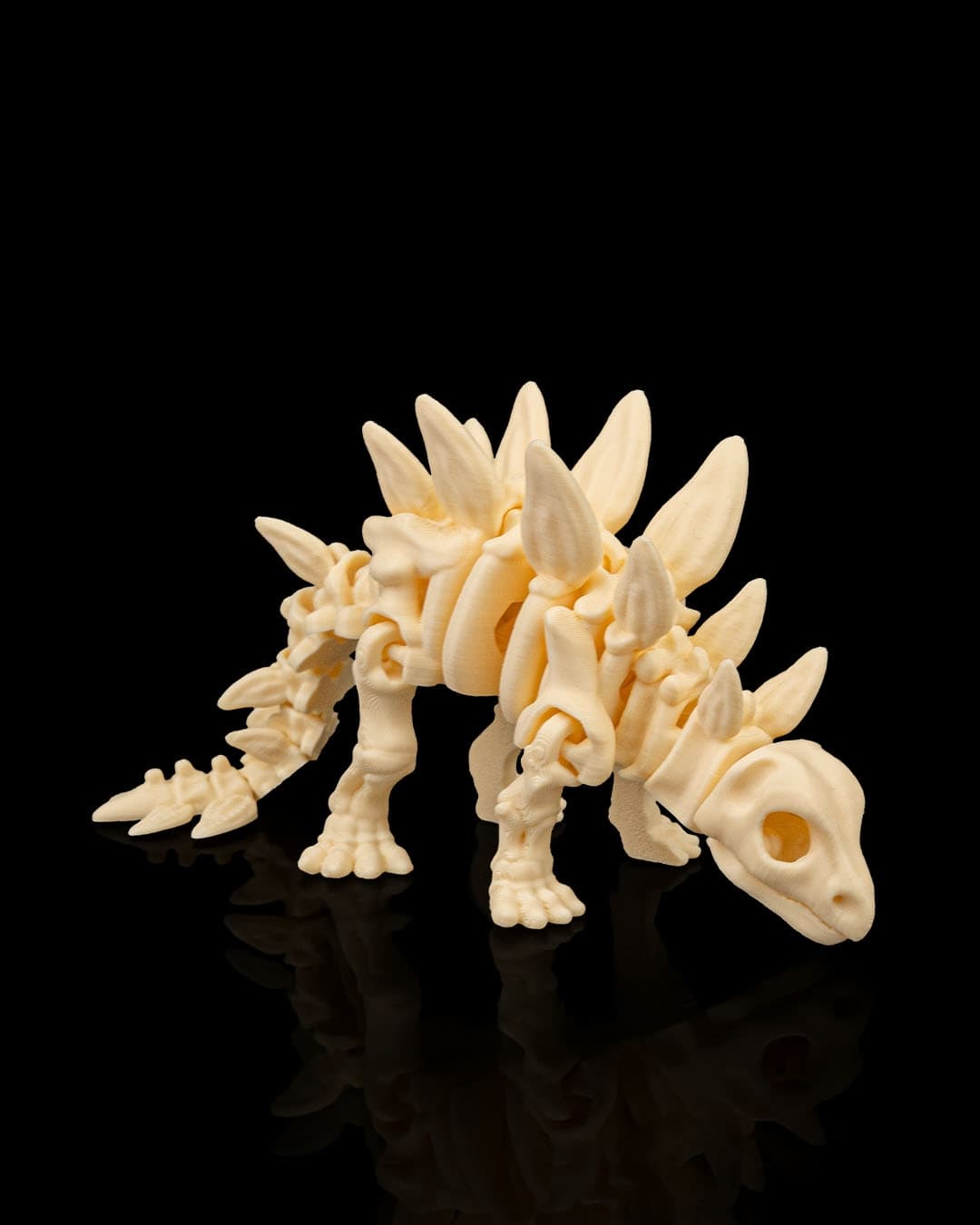Esqueleto Estegossauro 12cm 🦕 - 5