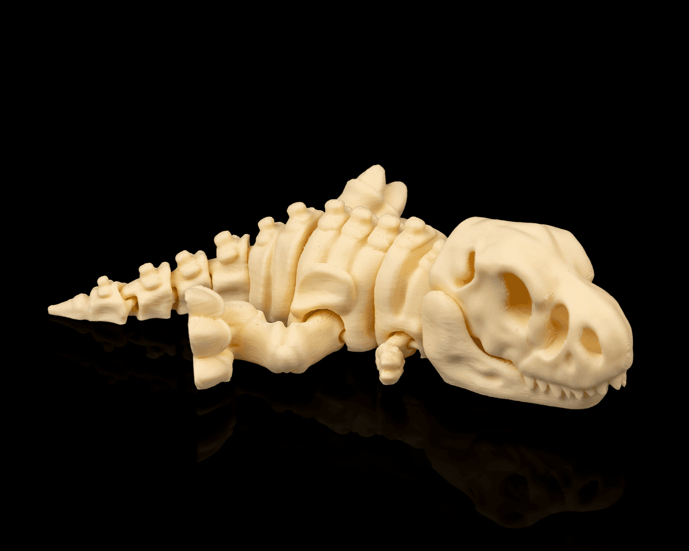Esqueleto Tiranossauro Rex 12cm 🦖 - 2