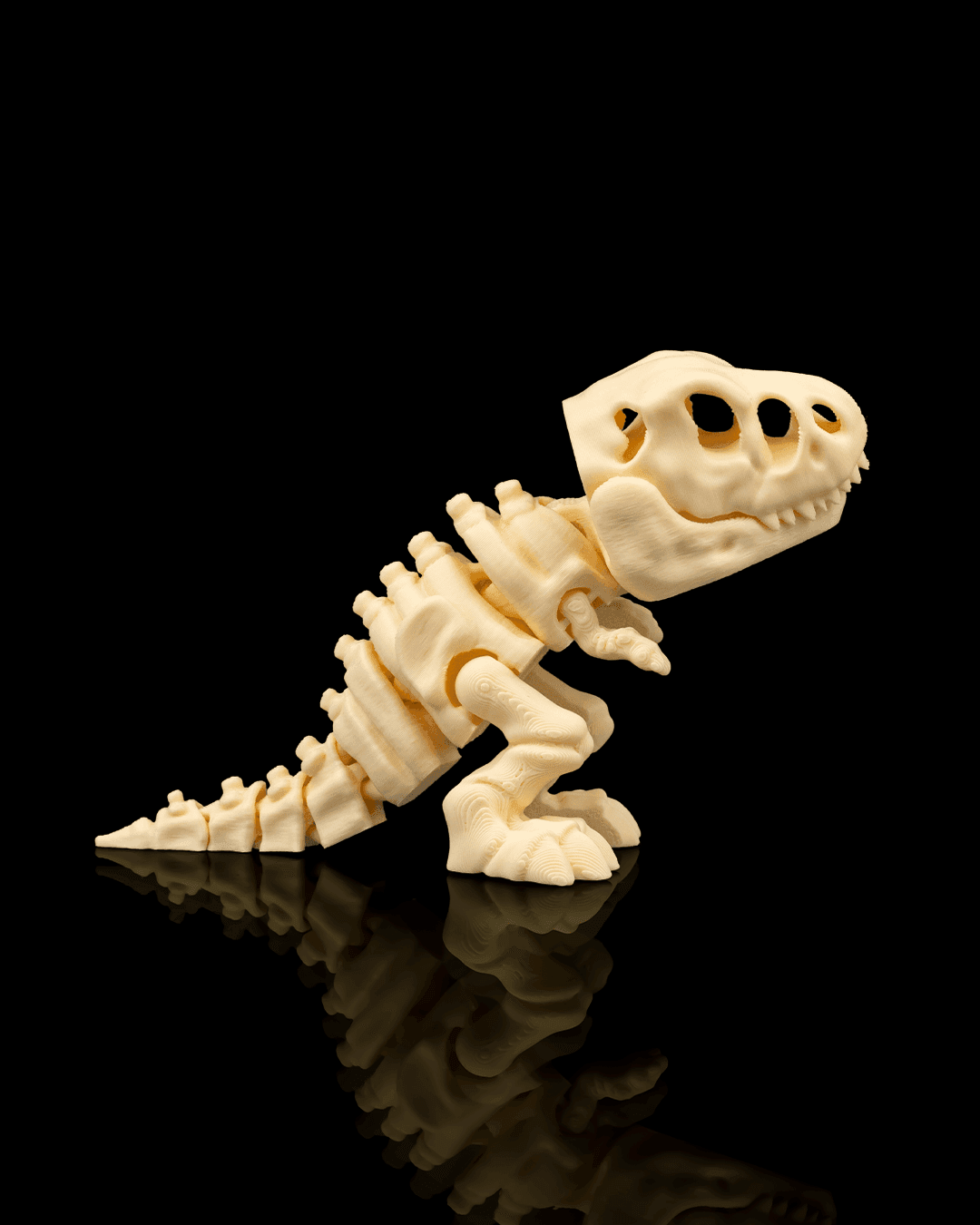 Esqueleto Tiranossauro Rex 12cm 🦖 - 4