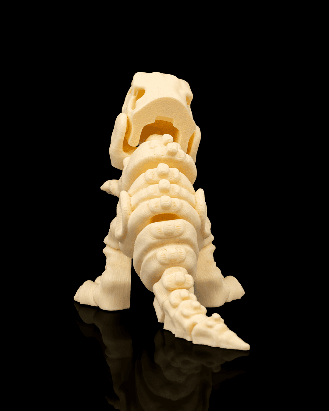 Esqueleto Tiranossauro Rex 12cm 🦖 - 6