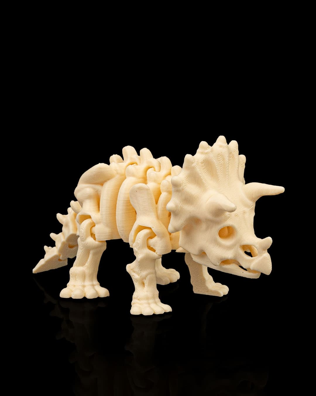 Triceratops
