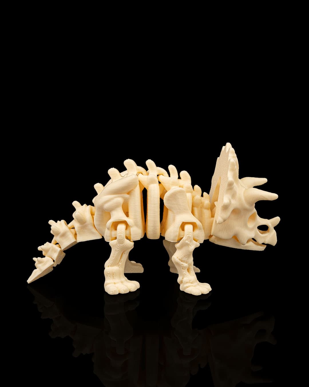 Esqueleto Triceratops 12cm 🦕 - 2