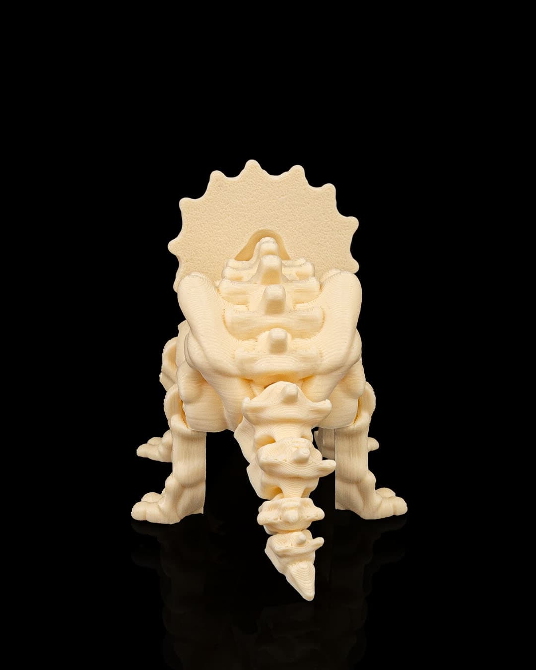 Esqueleto Triceratops 12cm 🦕 - 3