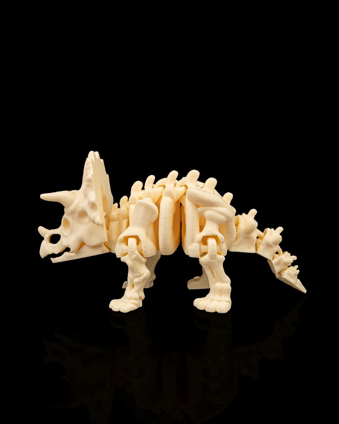 Esqueleto Triceratops 12cm 🦕 - 4