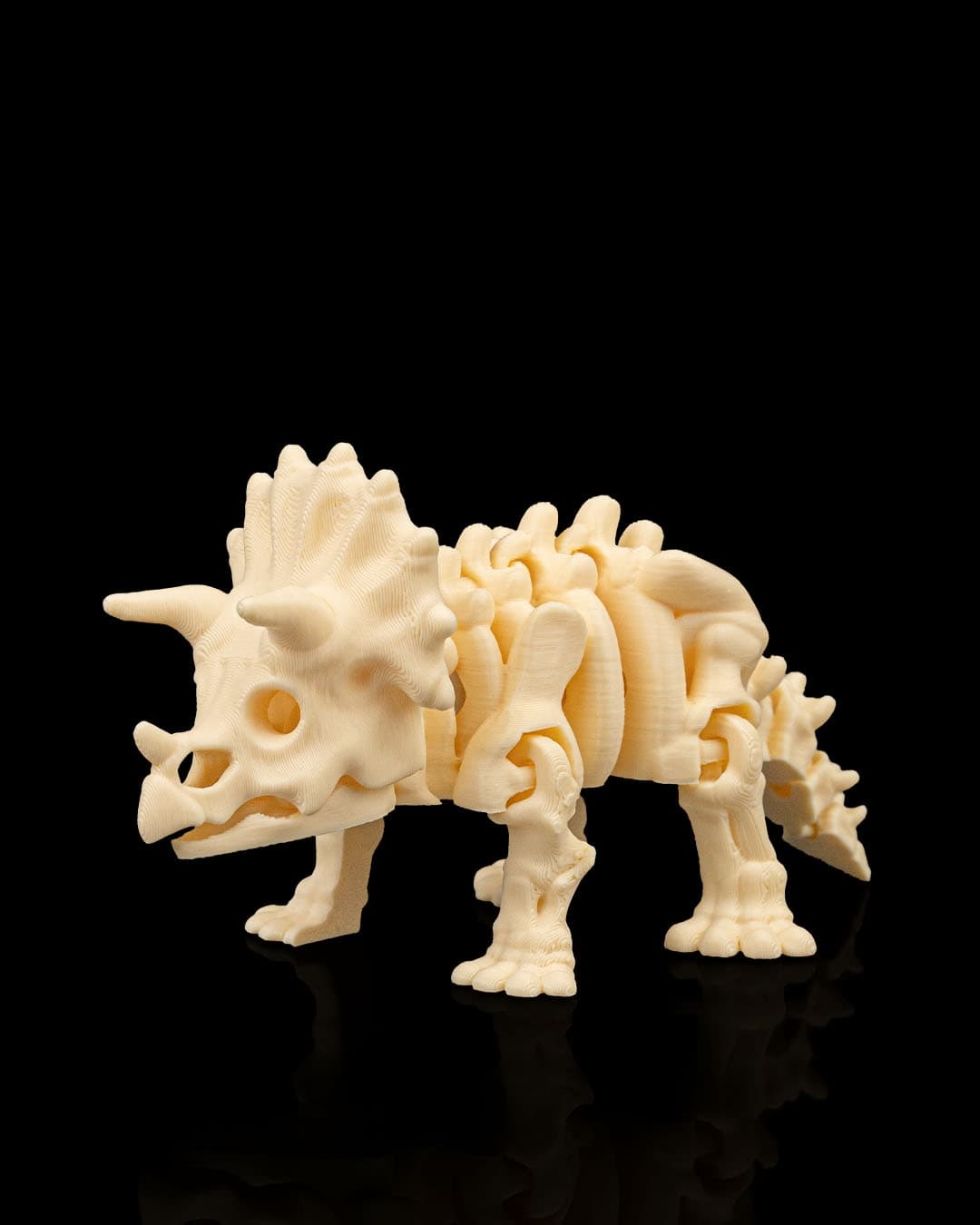 Esqueleto Triceratops 12cm 🦕 - 5