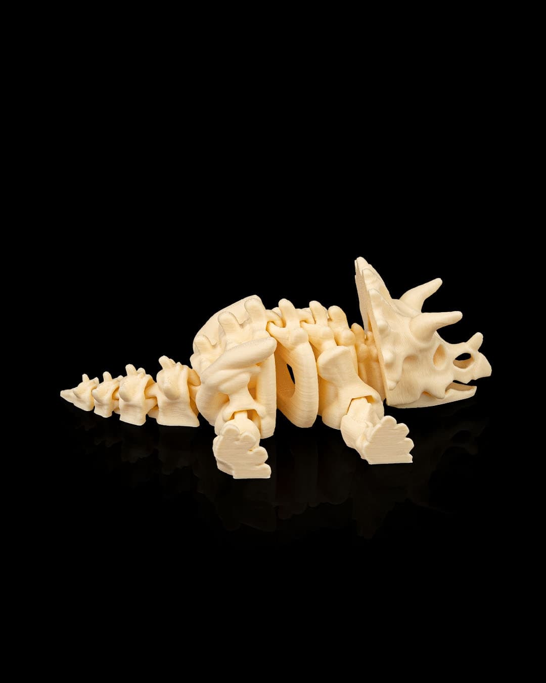 Esqueleto Triceratops 12cm 🦕 - 6