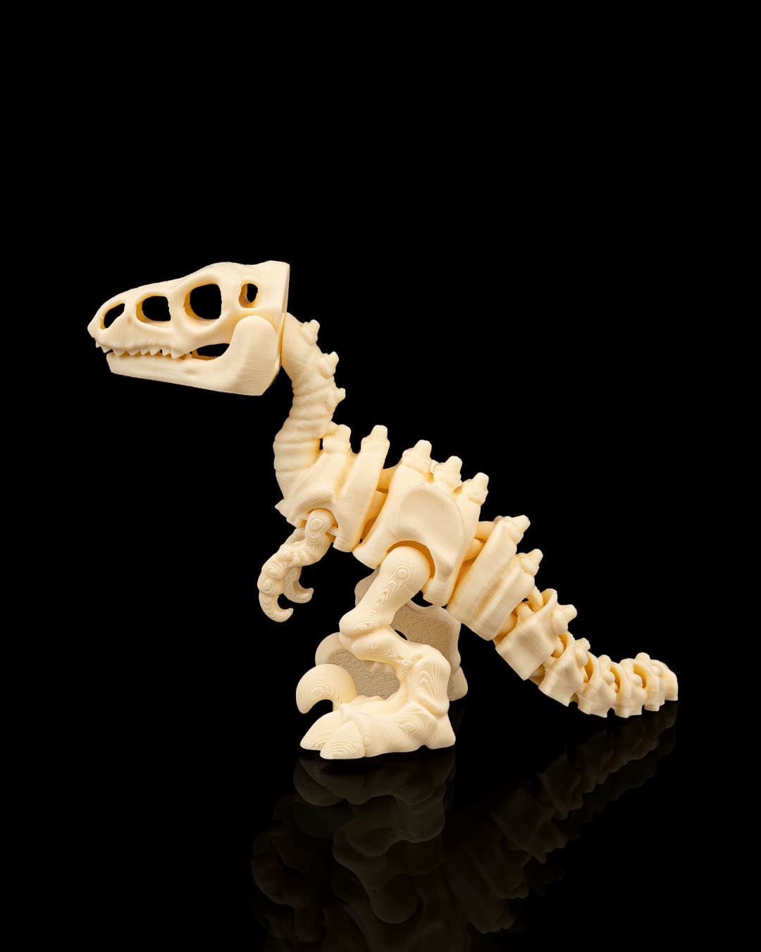 Esqueleto Velociraptor 12cm 🦖 - 2