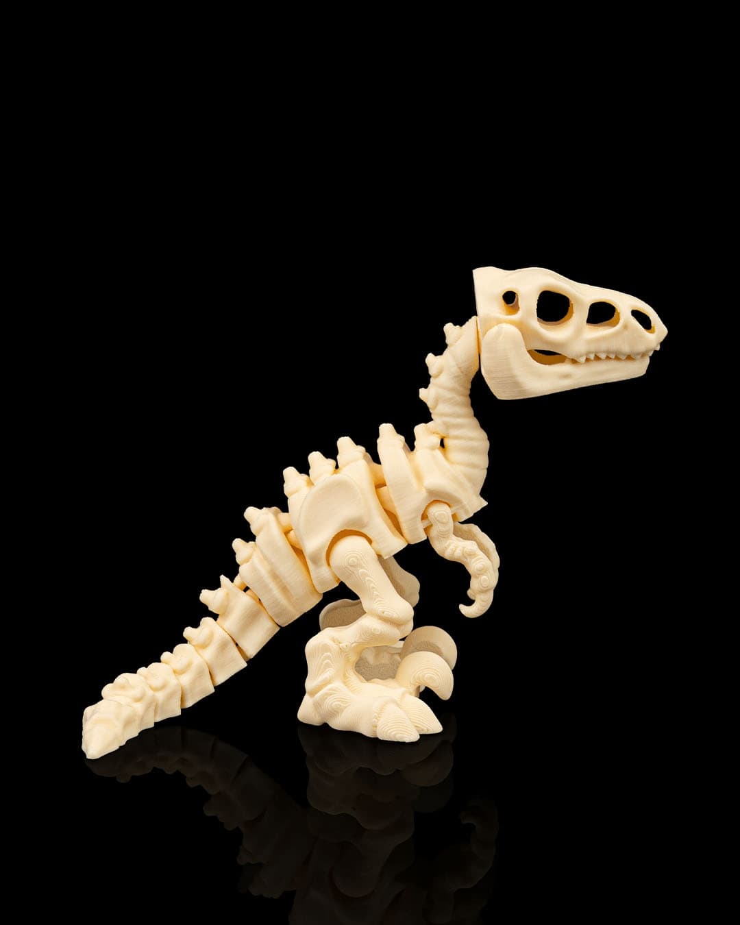 Esqueleto Velociraptor 12cm 🦖 - 4