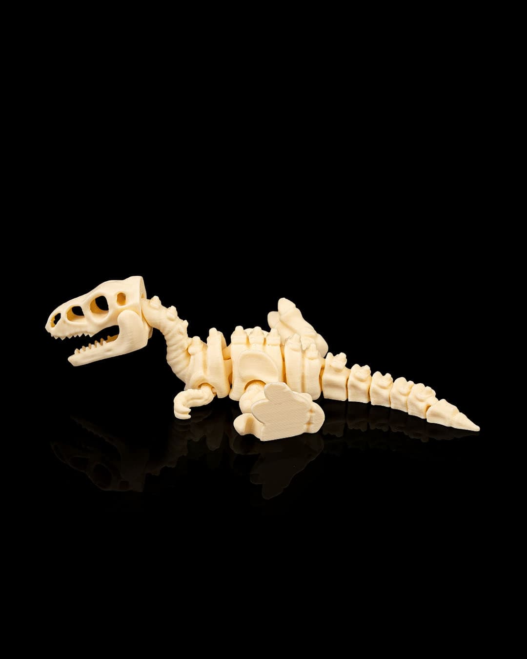 Esqueleto Velociraptor 12cm 🦖 - 6